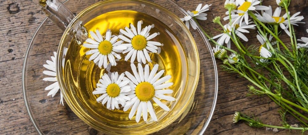 Camomile Tea for Acne Scars: