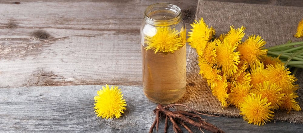 Dandelion Root Tea Urinary Tract Infection