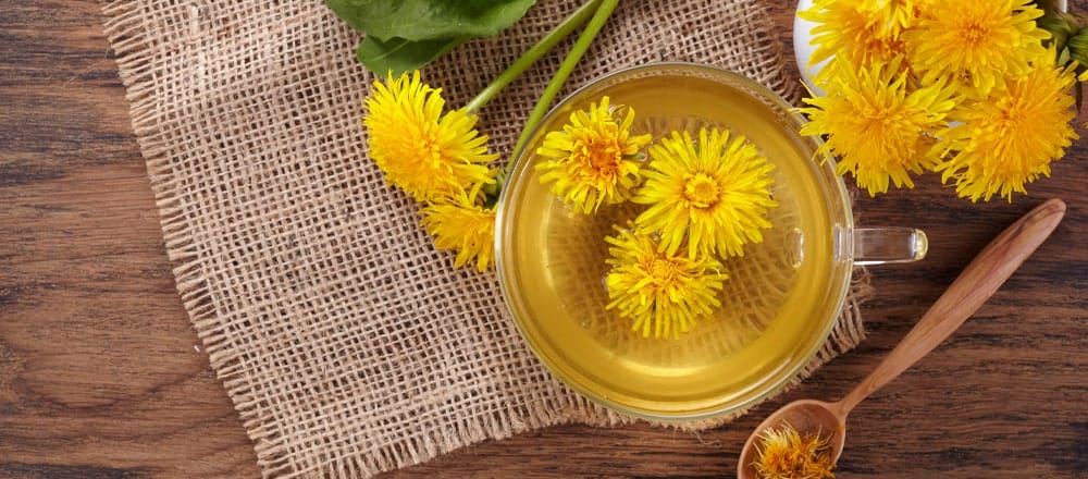 Dandelion Tea Benefits