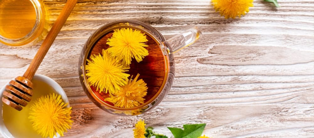 Dandelion Weight Loss