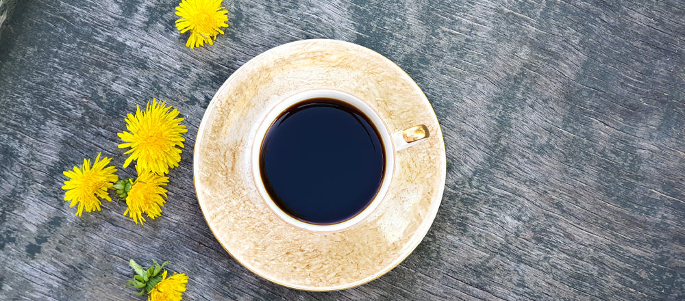 Dandelion Coffee Benefits