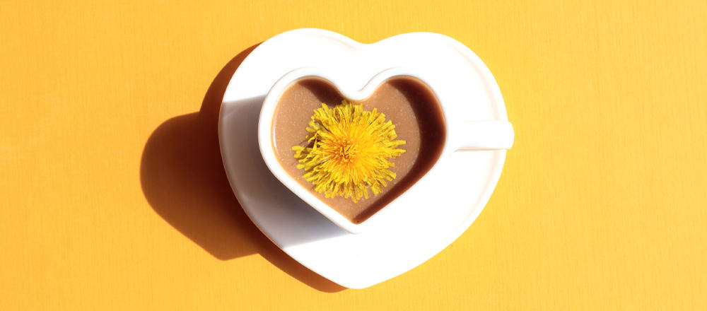 Dandelion Coffee Side Effects