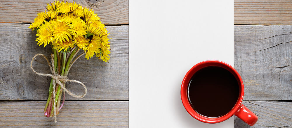 Does Dandelion Coffee Have Caffeine? 