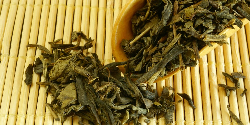 Is Green Tea Good for Kidney Disease