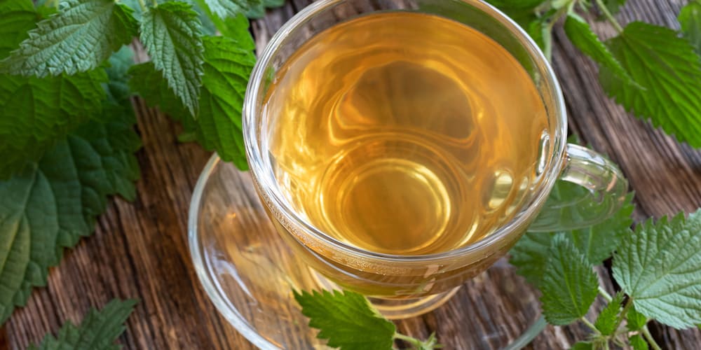 Nettle Tea Blood Pressure Benefits