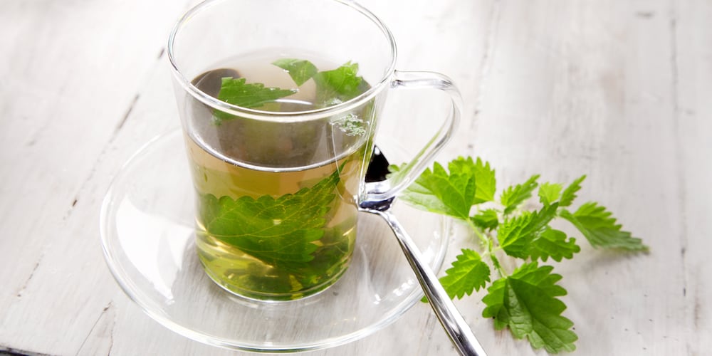 Nettle Tea Hair Benefits