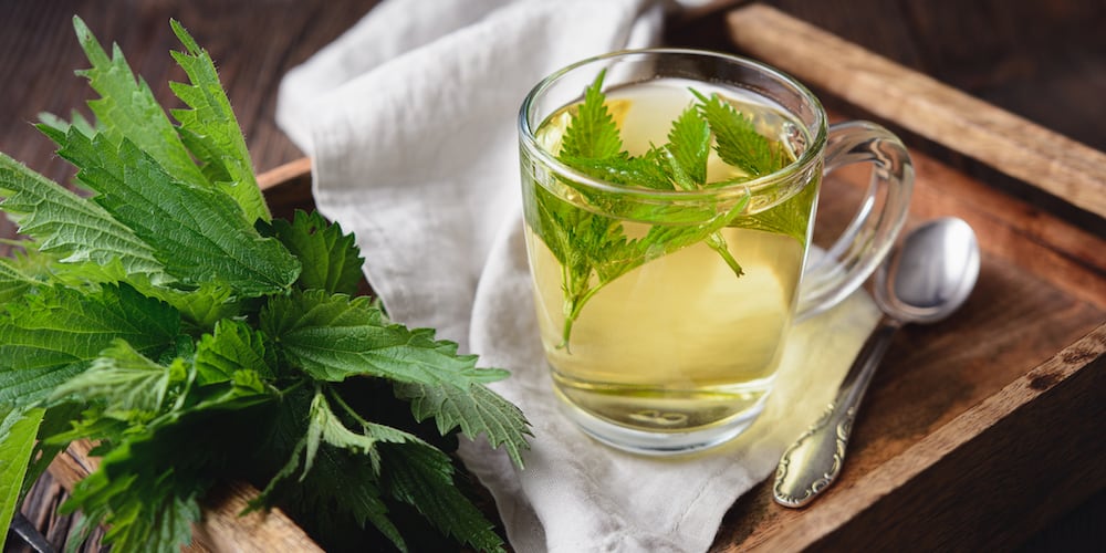 Nettle Tea and Weight Loss