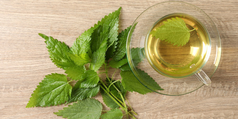 Nettle Tea for Arthritis