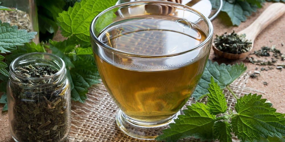 Nettle Tea for Liver Health