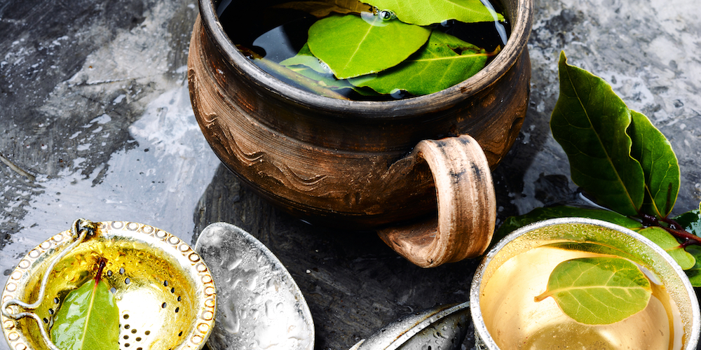 Bay Leaf Tea Benefits & Side Effects Kent Tea & Coffee Co